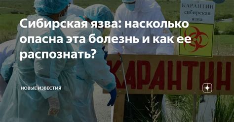 Насколько опасна эта попытка?