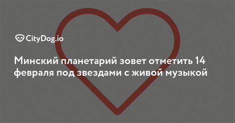 Наслаждайтесь музыкой под звездами