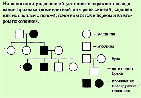 Наследственность и родословная