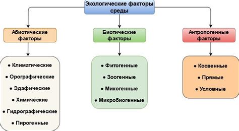 Наследственность и факторы окружающей среды