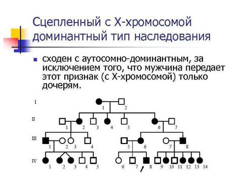 Наследственные факторы в дыхании через одну ноздрю