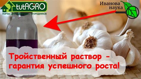 Настройка и улучшение лука для повышения его эффективности