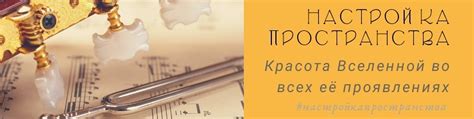 Настройка на волну гармонии: практические методы