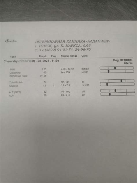 Настройка таймера и подготовка к важному событию