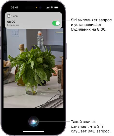 Настройка Siri на iPhone 11