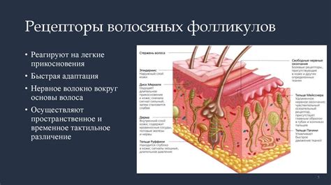 Настройте сенсорные функции