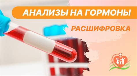 Натуральные методы повышения уровня гормонов ЛГ и ФСГ