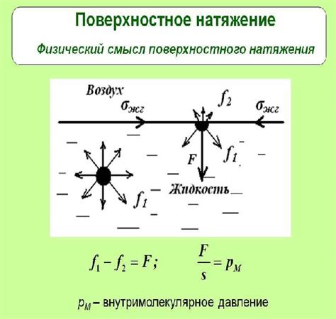 Натяжение и покрытие ушей