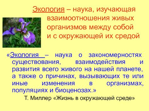 Наука и современное понимание воды как вечной страницы