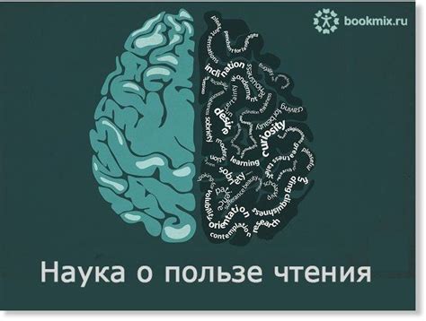 Наука о пользе покоя и сосредоточения