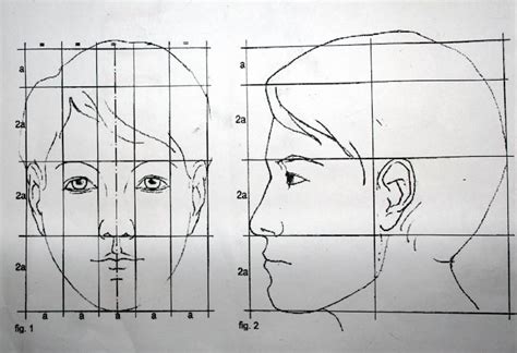 Научитесь рисовать пропорции и форму лица