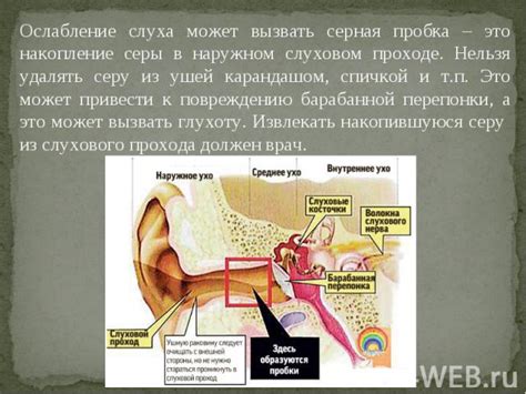 Научное объяснение: роль ушей в слуховом восприятии