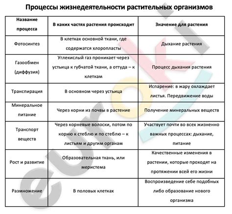 Научное объяснение и процесс, который происходит в организме