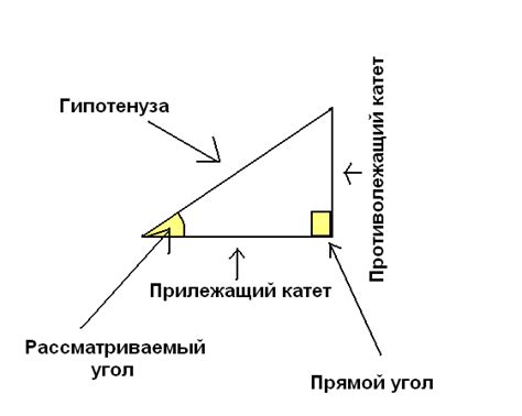 Находим катет с использованием косинуса