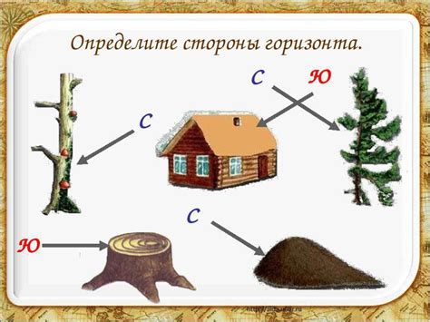 Нахождение севера с помощью природных признаков