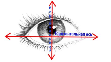 Начали середину: горизонтальная основа и вертикальная нижняя часть