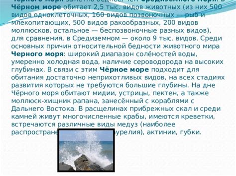 Начало работы: рисование основных элементов Черного моря