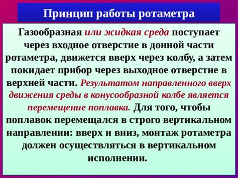 Начало работы: создание донной части