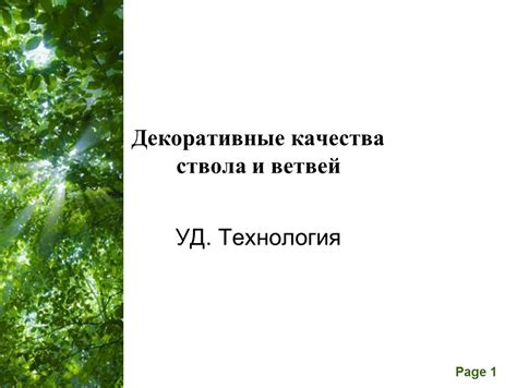 Начало работы: создание ствола и ветвей