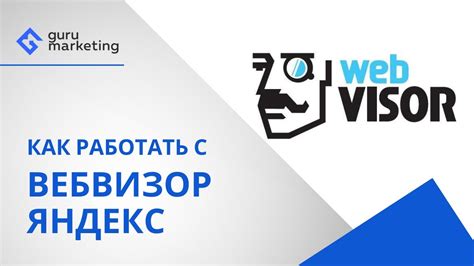 Начало работы с вебвизором