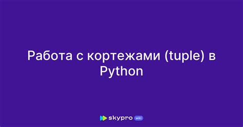 Начало работы с кортежами в Python