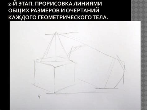 Начальный набросок: создание общих очертаний тела львицы