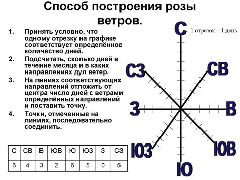 Начальный этап - контуры розы ветров