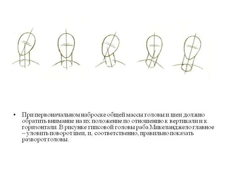 Начертание общей формы головы и тела