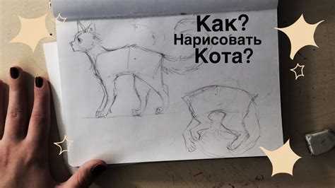 Начертание основной формы кота-воителя