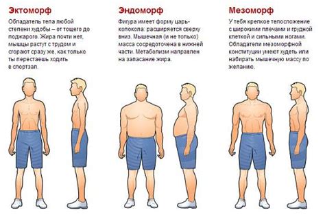 Начертание основной формы тела лялечки