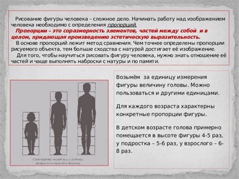 Начертите линии для определения пропорций