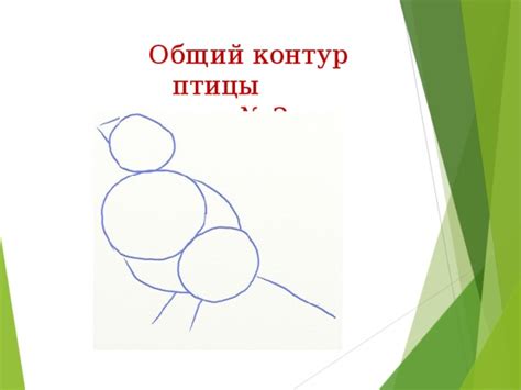 Начертите общий контур головы Микулы