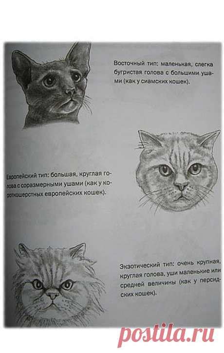 Начинаем рисовать