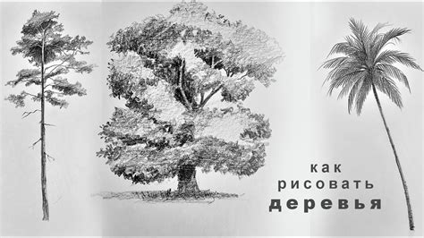 Начинающим художникам: как рисовать деревья и кустарники карандашом