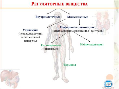 Начните с активации обмена веществ и увеличения уровня гидратации