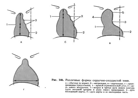 Начните с создания основы формы сердца