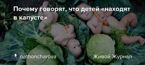 На самом деле, почему детей находят в капусте?