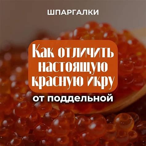 На что нужно обратить внимание при выборе прибора?