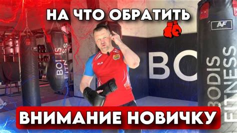 На что обратить внимание новичку?