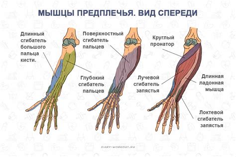 Неаккуратное движение рук