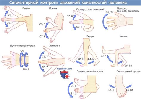 Неблагоприятная поза или сжатие нервных окончаний