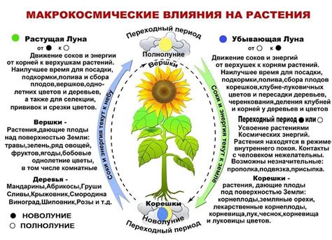 Неблагоприятные условия для растений