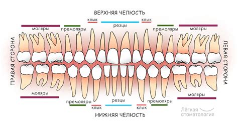 Неверное расположение зубов