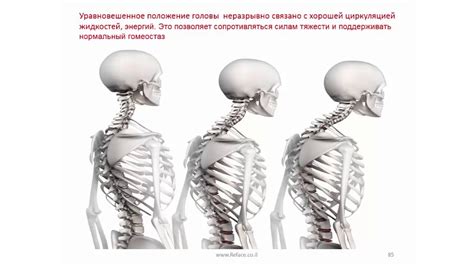 Неверные позы и неправильное положение головы