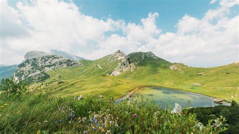 Негативное влияние на костную ткань