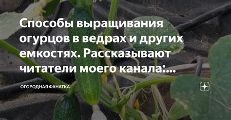 Негативное влияние хранения огурцов в металлических емкостях