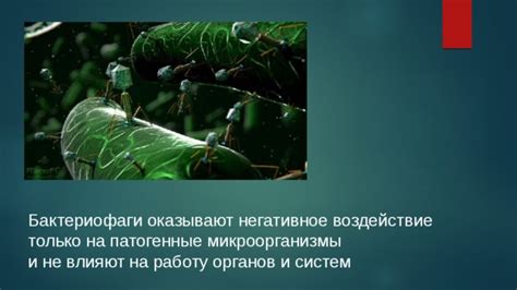 Негативное воздействие на микроорганизмы и состав продукта