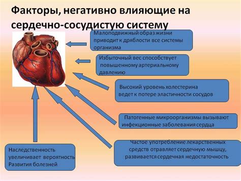 Негативные последствия для сердечно-сосудистой системы