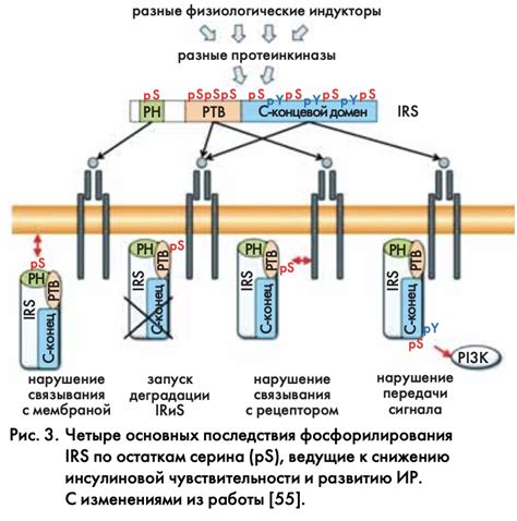 Недопущение развития резистентности