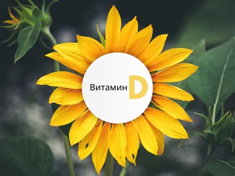 Недостаток витамина Д и его негативное влияние на костную систему